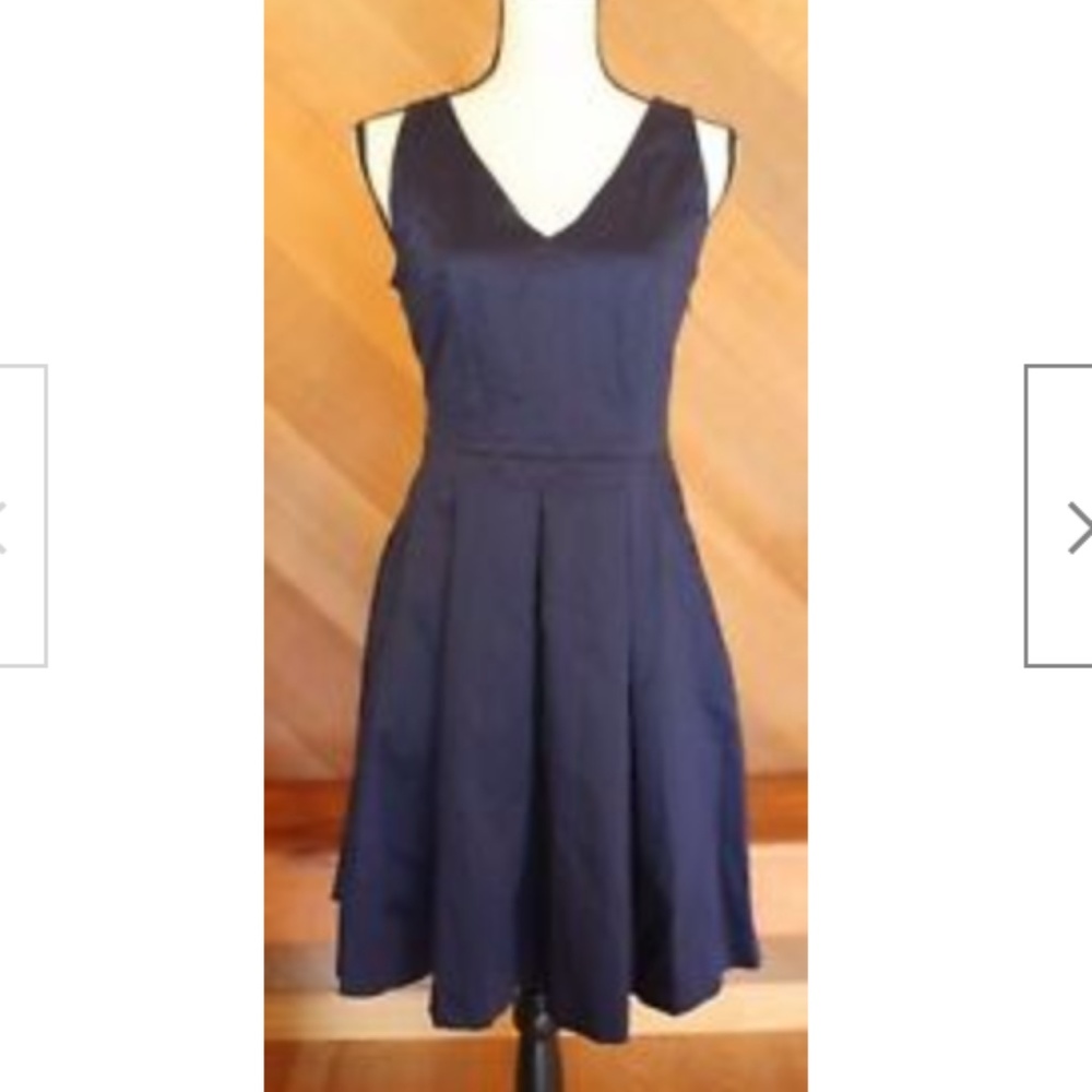 Banana Republic double v blue pleated skirt size 4